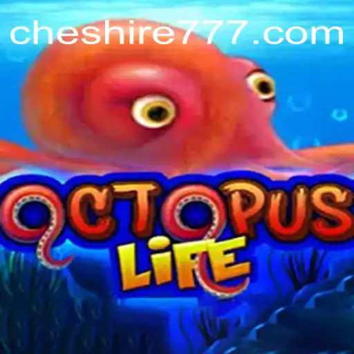 Explorando o Universo de OctopusLife: O Que Você Precisa Saber