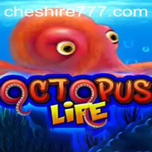 Explorando o Universo de OctopusLife: O Que Você Precisa Saber